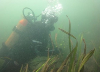  Buceo en Gironda 
